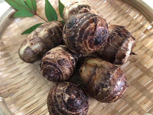 里芋