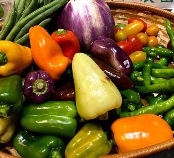 イタリア野菜栽培教室