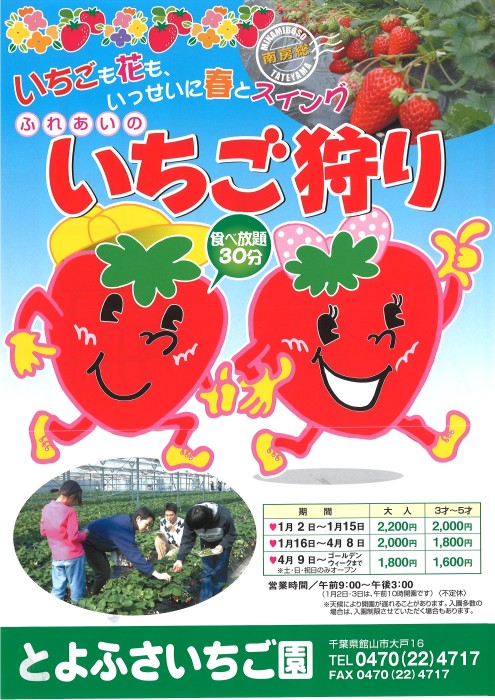 いちご狩り(豊房エリア)